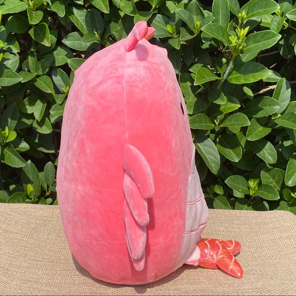 SHRIMP “Simone” Coral Squishmallow 11” NWT - Picture 4 of 7